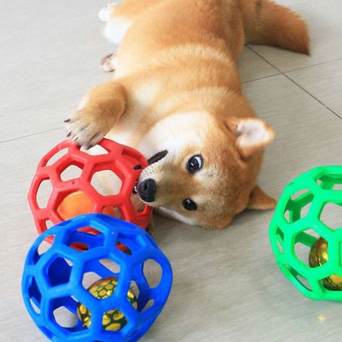 犬 おもちゃ ボール | 多面体ホーローボール