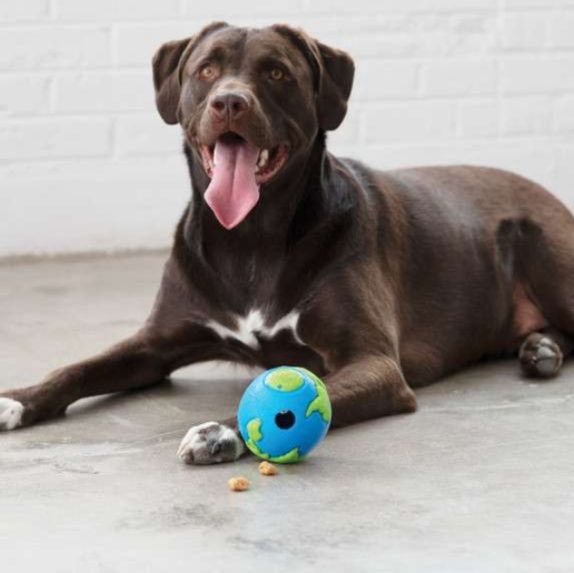 犬 おもちゃ ボール | 地球儀型トリーツボール