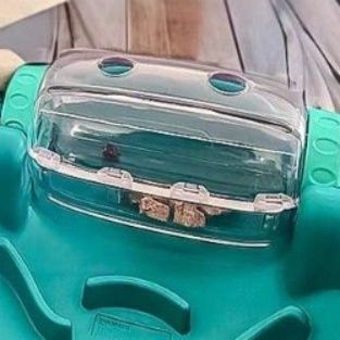 犬 おもちゃ 知育 | ペット用パズルフィーダー