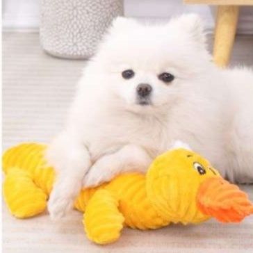 犬 おもちゃ ぬいぐるみ | もちもちアニマルぬいぐるみ