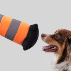 犬のおもちゃ 動く発声ぬいぐるみ 三角コーン型犬用おもちゃ