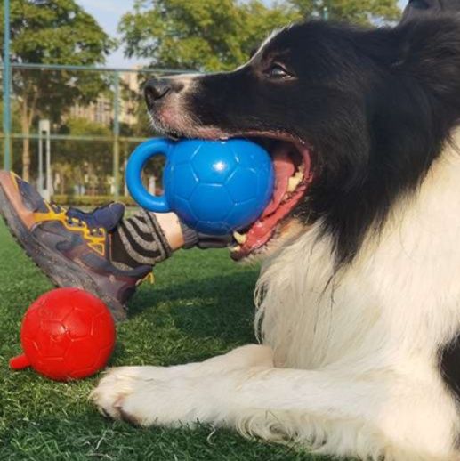 犬 おもちゃ ボール | 持ち手付き愛犬用ボール