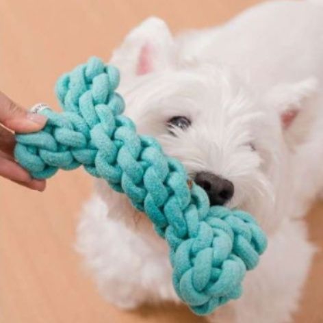 犬 おもちゃ ロープ | 歯磨き効果のある犬用結び目ロープ