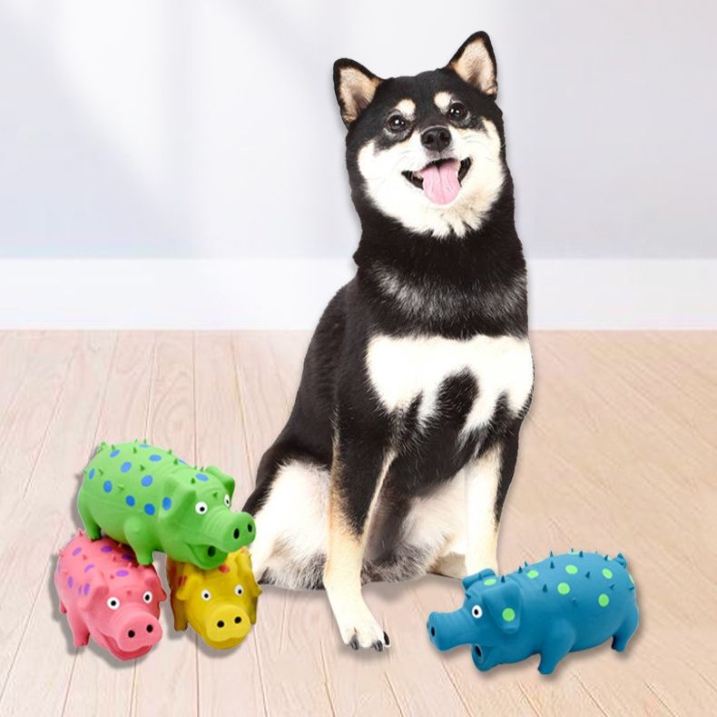 犬のおもちゃ 突起付き豚型音　ゴム製玩具