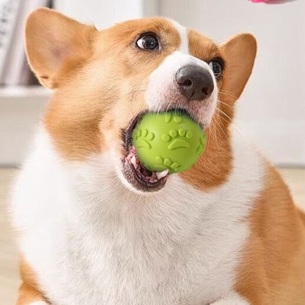 犬のおもちゃ 肉球模様の弾力ゴムボール噛むおもちゃ