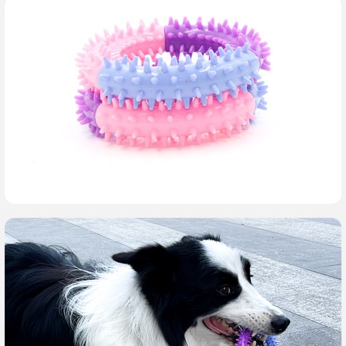 犬のおもちゃ 突起付き輪っか型歯磨きゴム製噛むおもちゃ
