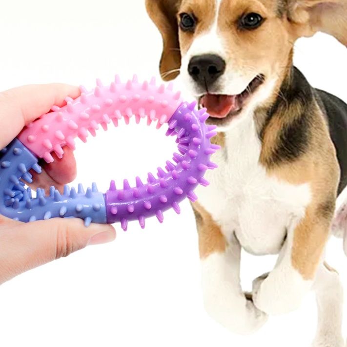 犬のおもちゃ 突起付き輪っか型歯磨きゴム製噛むおもちゃ
