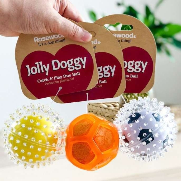 犬 おもちゃ ボール | わんわん喜ぶ遊びボール