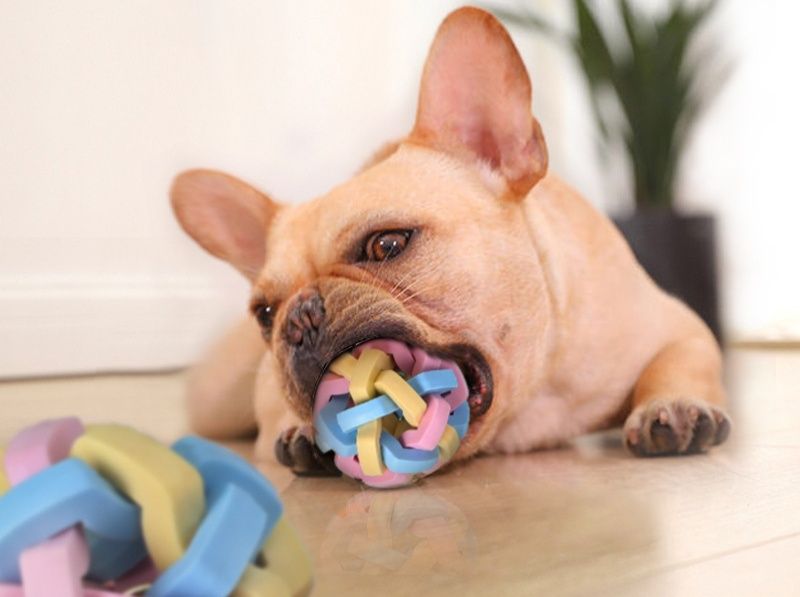 犬のおもちゃ 編み込みデザイン噛む知育ボール