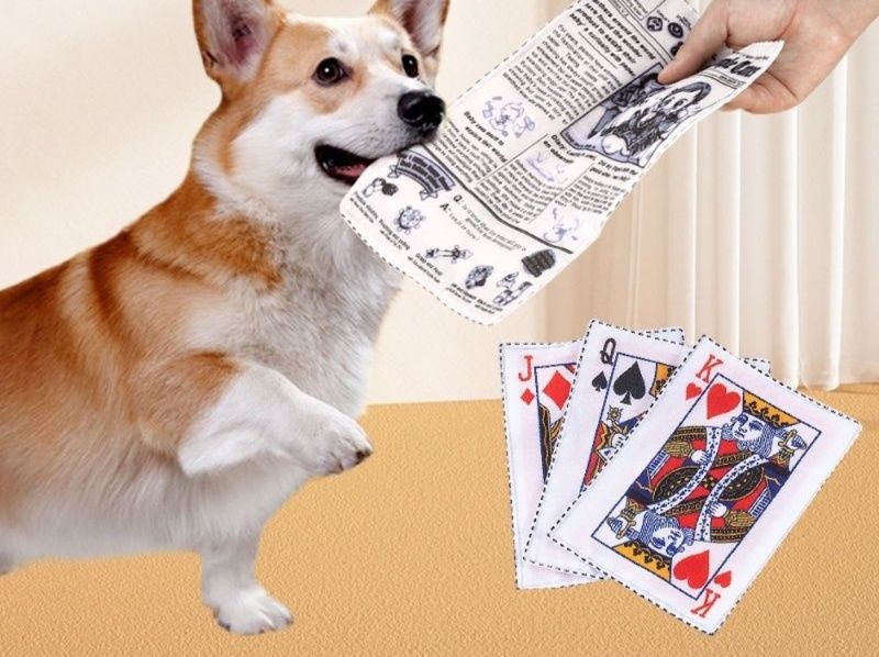 犬のおもちゃ 音が鳴る新聞紙トランプ型噛むおもちゃ