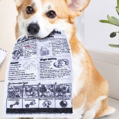 犬のおもちゃ 音が鳴る新聞紙トランプ型噛むおもちゃ