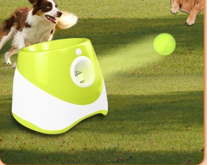 犬のおもちゃ 自動球飛ばし機能付き犬用遊び道具
