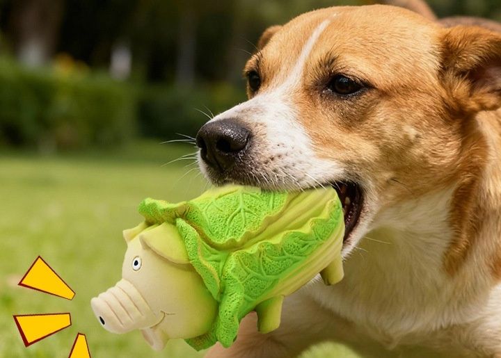 犬のおもちゃ 音が鳴る豚さん型丈夫な噛むおもちゃ