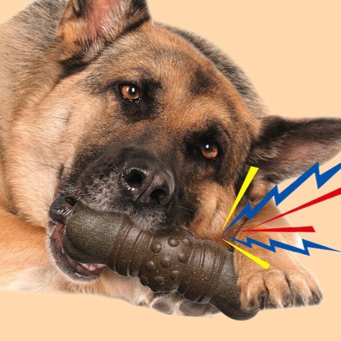 犬のおもちゃ 犬用骨型噛み噛み歯磨きおもちゃ
