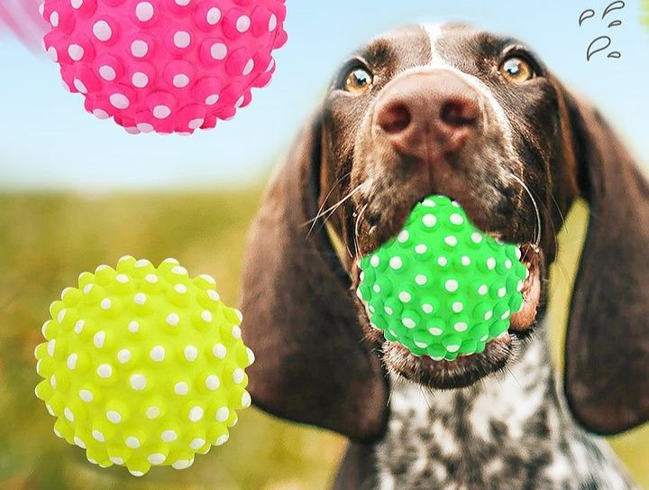 犬のおもちゃ 犬用やわらかトゲトゲゴムボール歯磨きおもちゃ