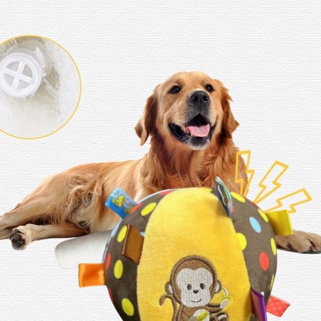 https://fulmo-img-server.com/inu-happy/1787192602382_xs0i24da_ocak7v43.jpeg