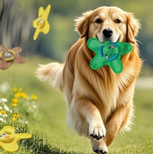 https://fulmo-img-server.com/inu-happy/1787276420740_ysy50uh6_tcxhxxcm.jpeg