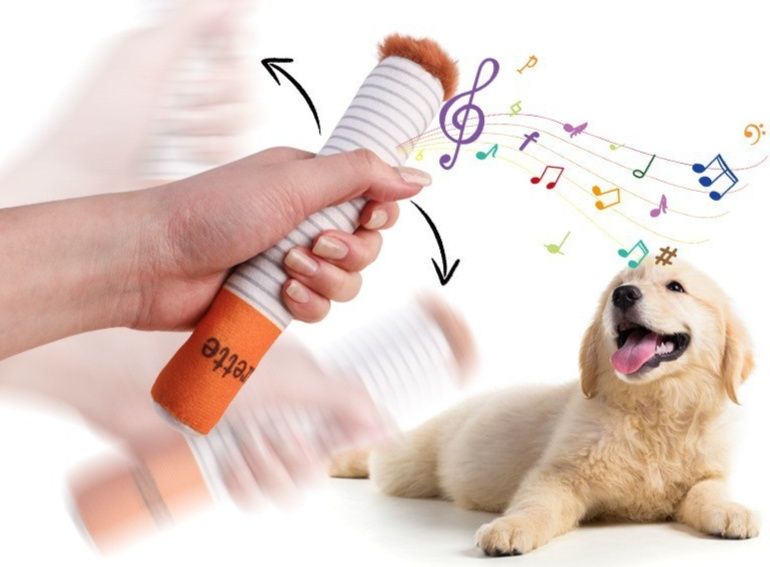 https://fulmo-img-server.com/inu-happy/1787286129461_irhjhnma_5udc1ley.jpeg