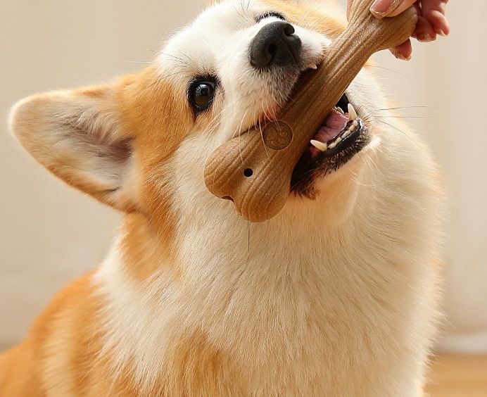 犬のおもちゃ 天然素材の骨型歯磨き噛むおもちゃ