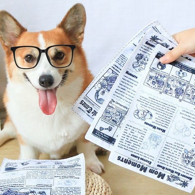 犬のおもちゃ 新聞紙風カサカサ音が楽しい犬用噛むおもちゃ