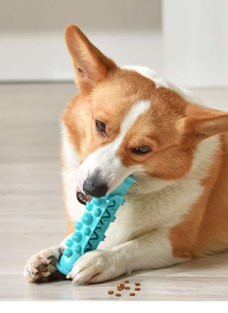 犬のおもちゃ  わんちゃんの歯磨きガムおもちゃ