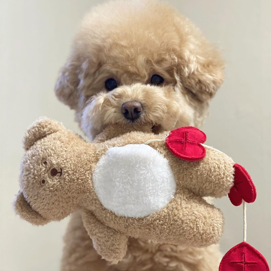 犬のおもちゃ ハートくまちゃんぬいぐるみ