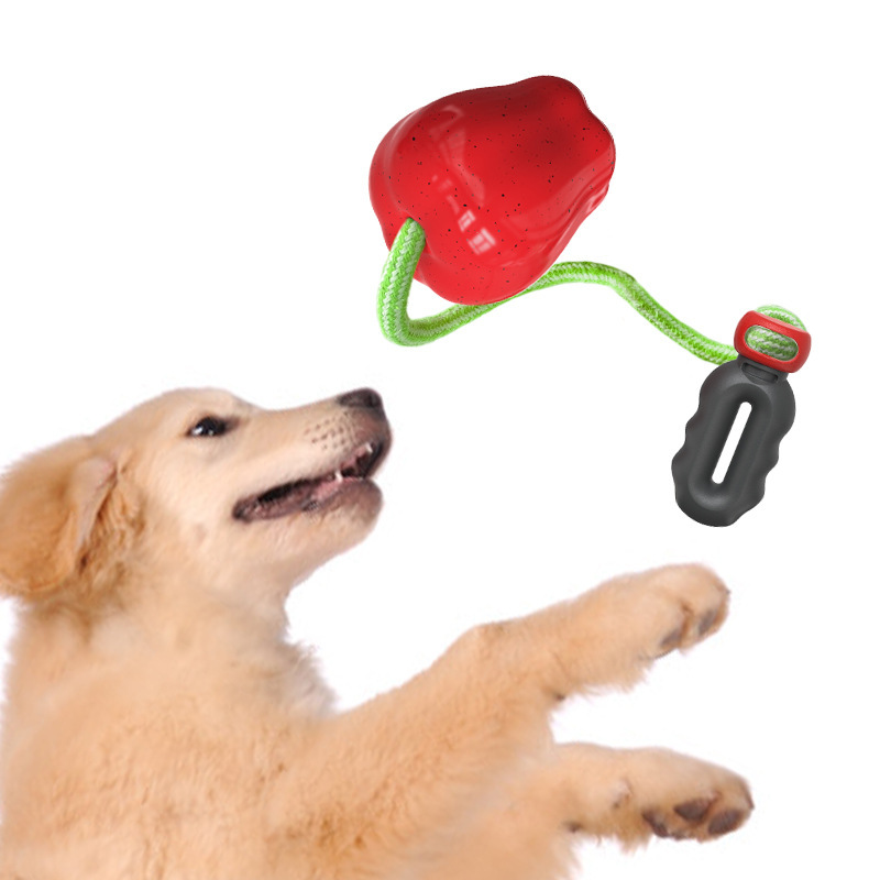 https://fulmo-img-server.com/inu-happy/1f1f015d-ce0c-4ebc-b06a-e734510b4d67.jpg