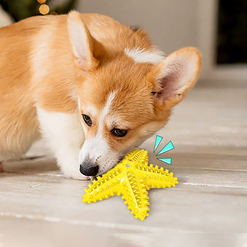 犬のおもちゃ 星の輝き 歯みがきスター