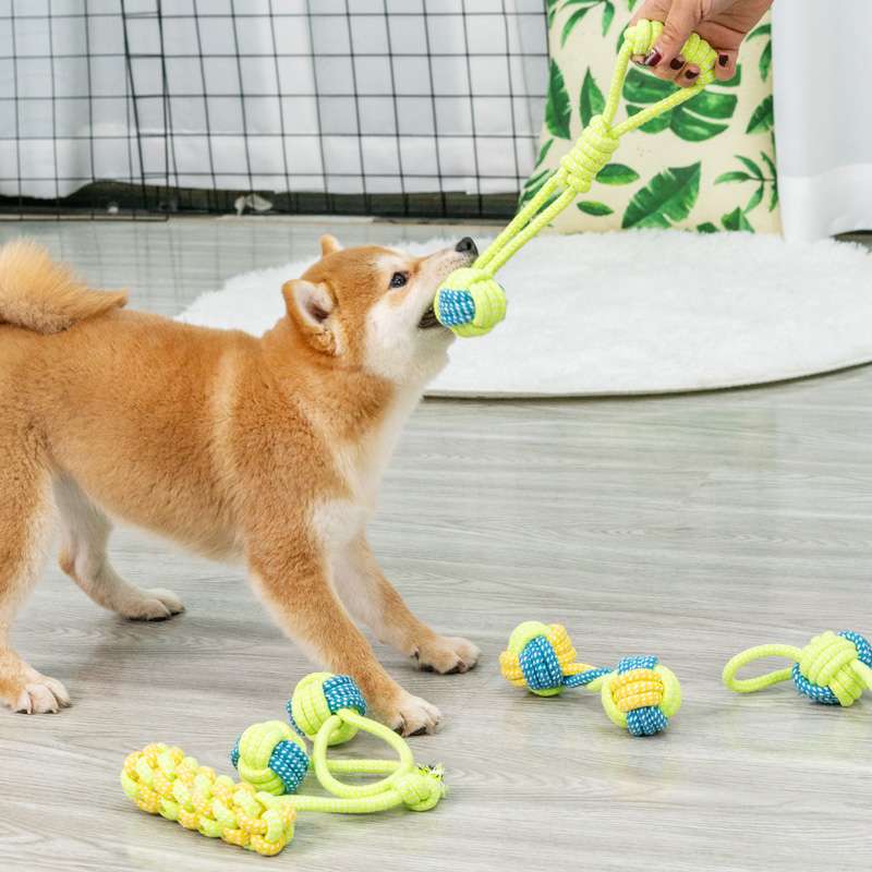 犬 おもちゃ ロープ | 愛犬とのふれあい遊び紐セット