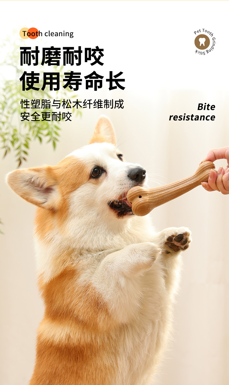 https://fulmo-img-server.com/inu-happy/2a72b402-6f6c-473d-b1ae-1959759e43e7.jpg