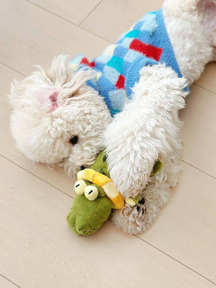 犬のおもちゃ わにくんもぐもぐぬいぐるみ