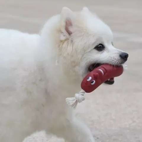 犬のおもちゃ わんちゃんの噛みごこちロープ