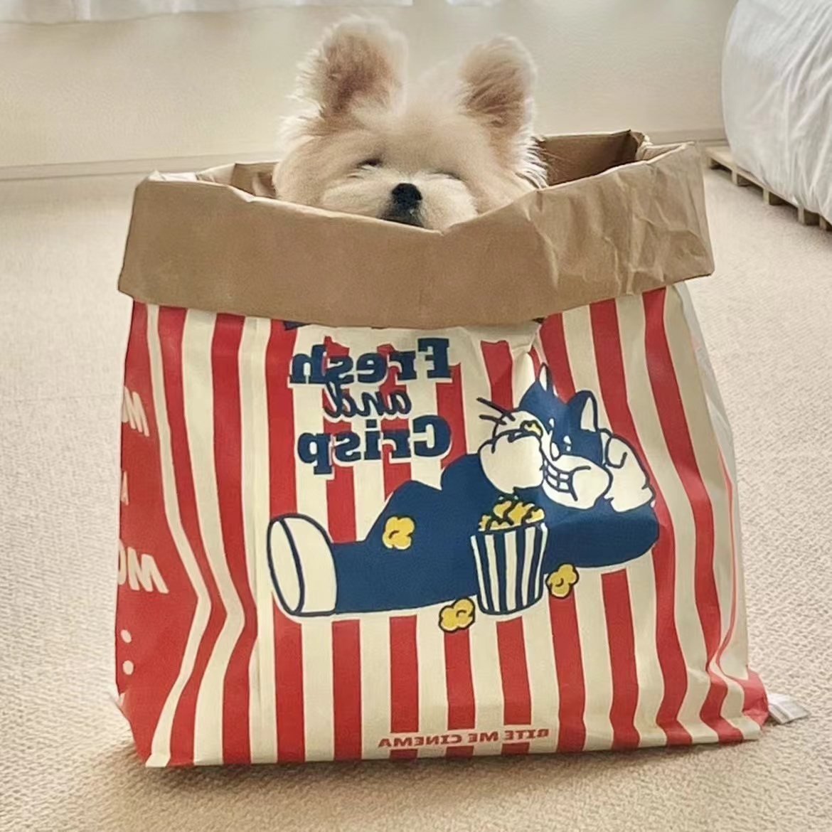 犬のおもちゃ エラー
