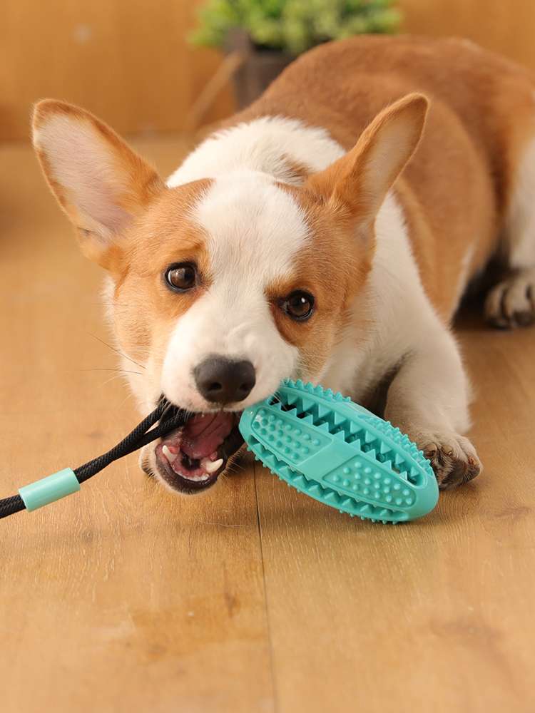 犬のおもちゃ デンタルクリーン 秒変漏食ボール