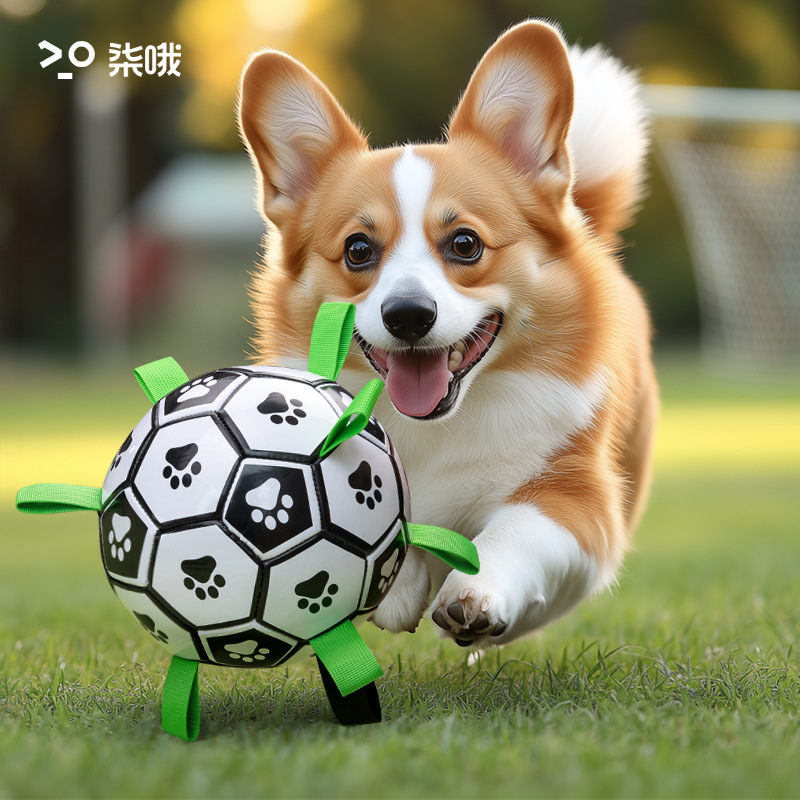 犬のおもちゃ 肉球模様のつかみやすいサッカーボール型玩具