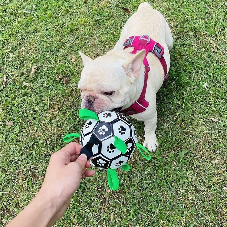 犬 おもちゃ ボール | わんちゃん喜ぶ肉球サッカーボール