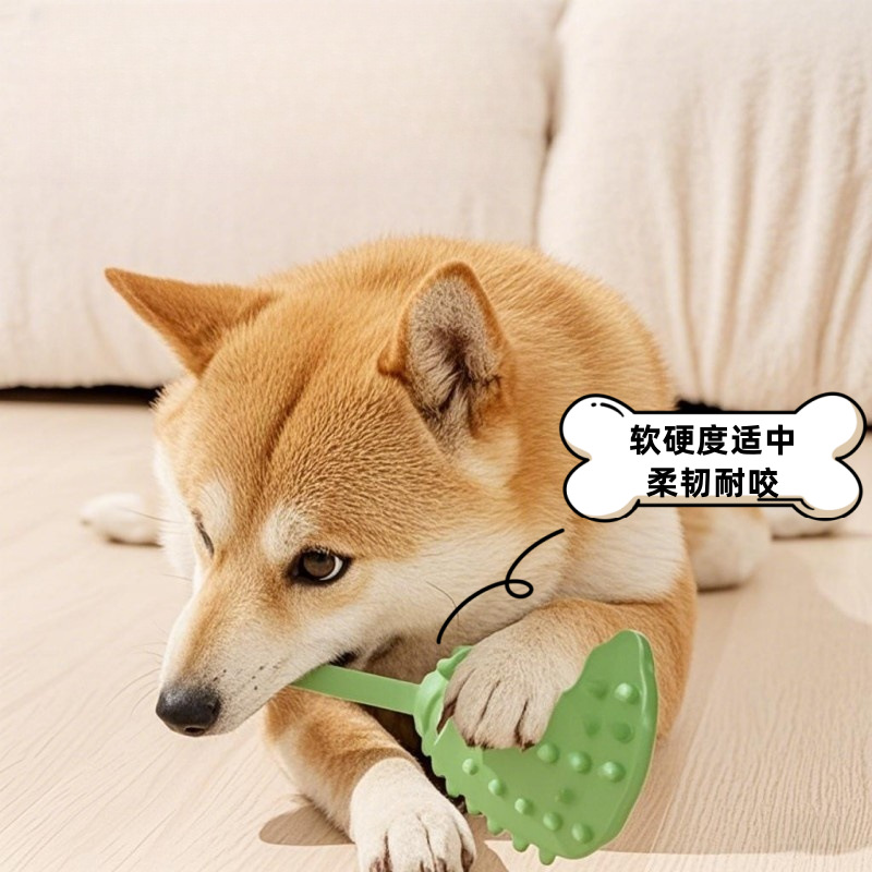 https://fulmo-img-server.com/inu-happy/34d65a0d-5f99-4fea-895c-95d16113a591.jpg