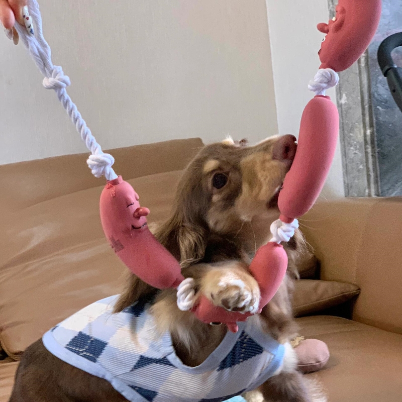 犬のおもちゃ にこにこウインナーロープ