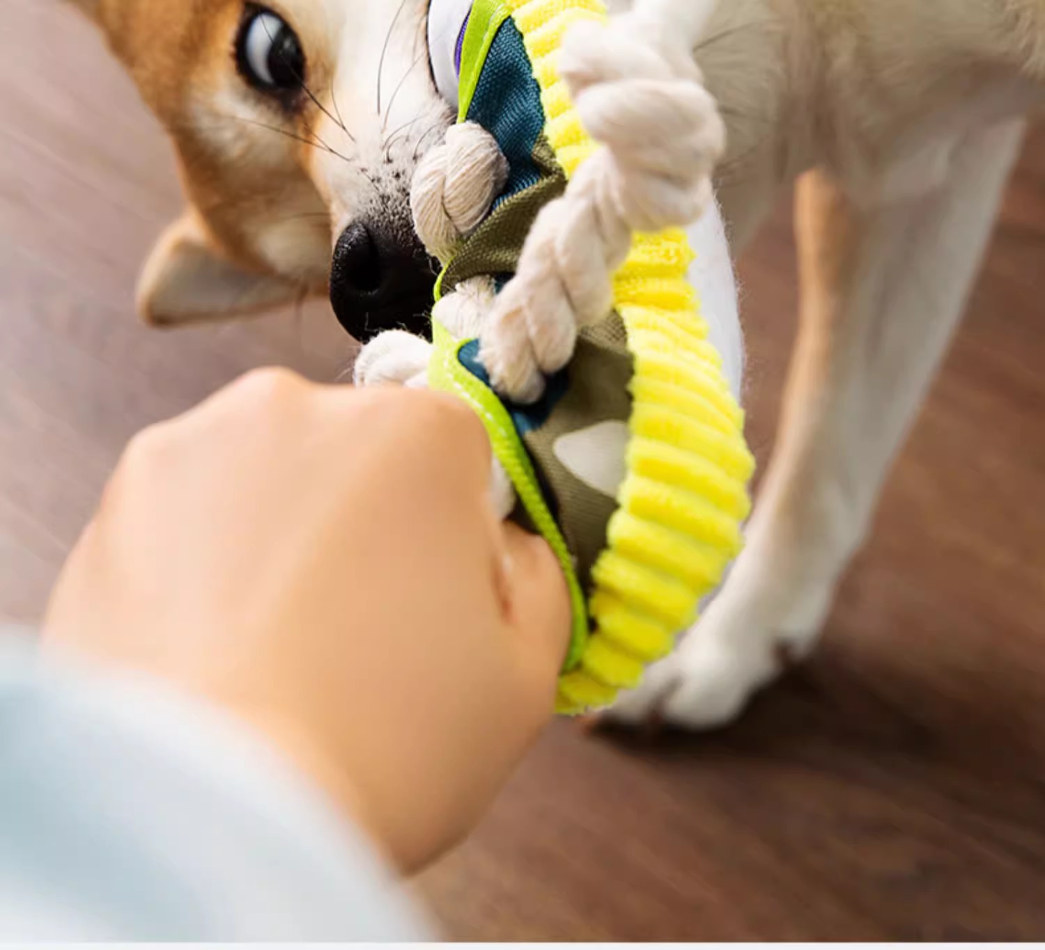 犬のおもちゃ スニーカー型音 鳴る 噛むおもちゃ ロープ付き