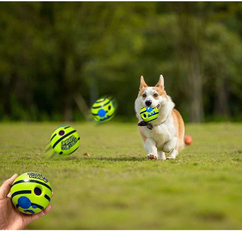 犬 おもちゃ ボール | わんわんジャンピングボール