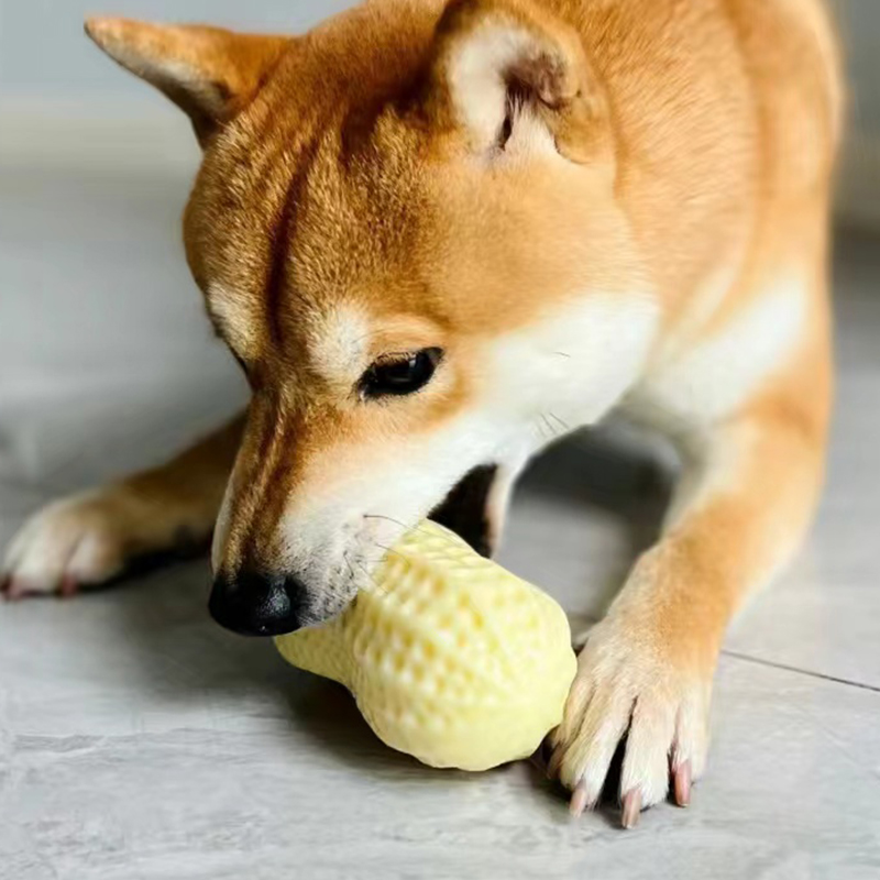 犬のおもちゃ まめまめデンタルトイ