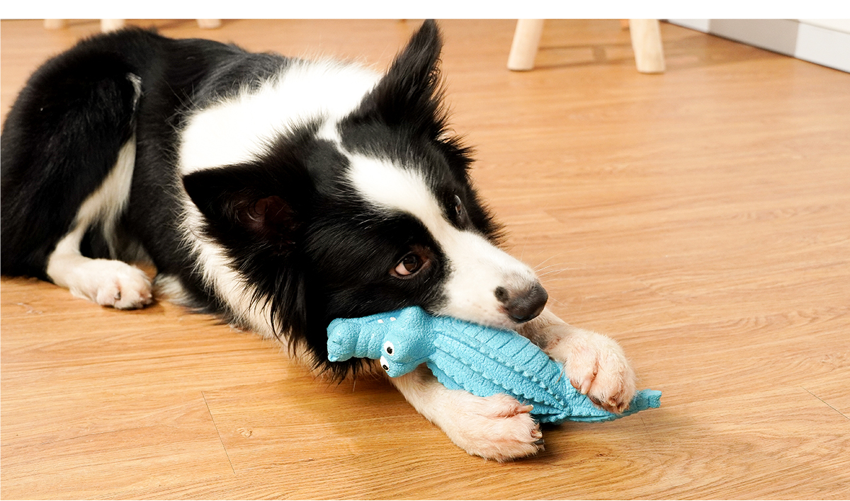 犬のおもちゃ わくわくワニさん歯ごたえトイ