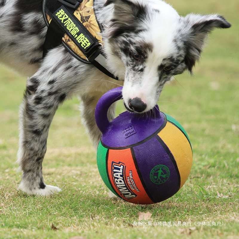 犬 おもちゃ ボール | 犬用バスケ型ジャンボトレーニングボール