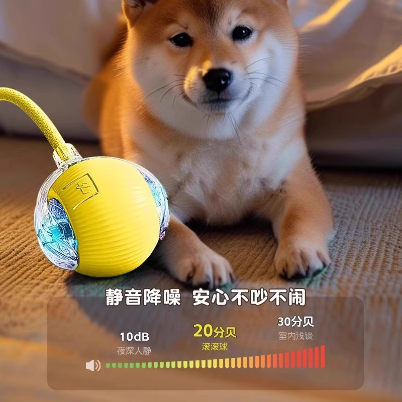 https://fulmo-img-server.com/inu-happy/4288f9c1-2e05-432e-82db-33905e9341db.jpg