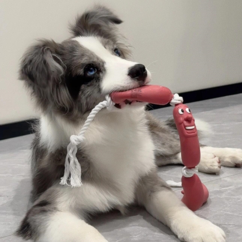 犬のおもちゃ にこにこウインナーロープ
