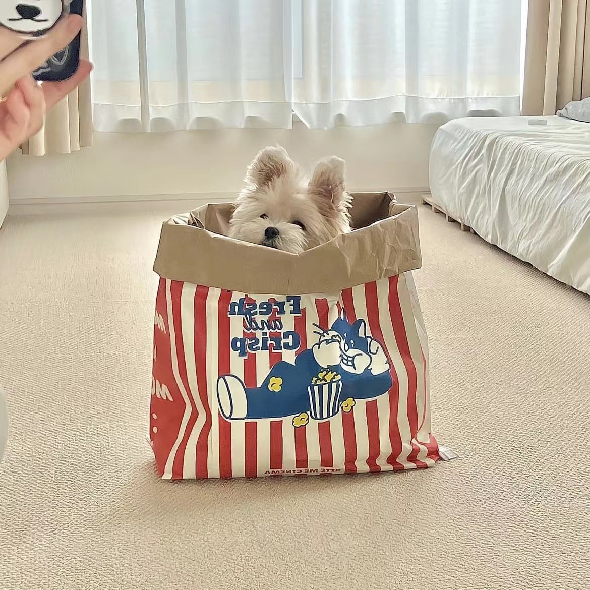 犬のおもちゃ エラー