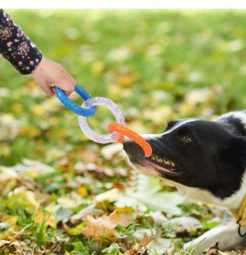 犬のおもちゃ  わんちゃんの噛み噛みリング