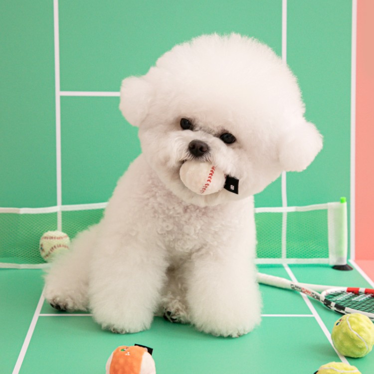 犬のおもちゃ スポーティーボール 遊び放題セット