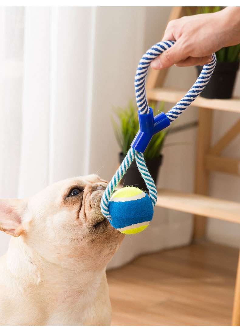 犬のおもちゃ わんちゃんの歯磨きロープ