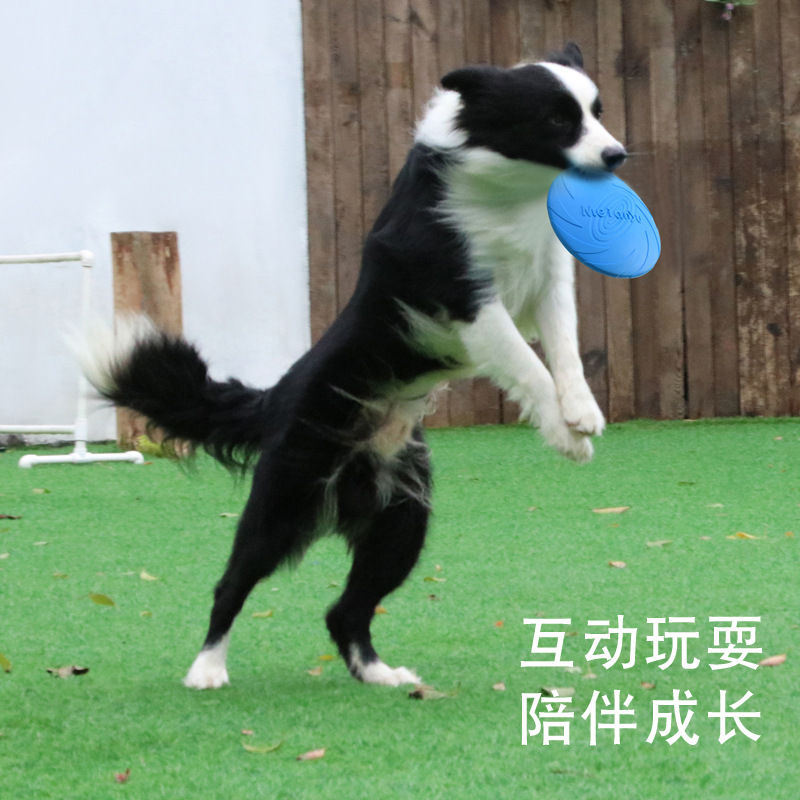 https://fulmo-img-server.com/inu-happy/4ee1d5fb-0551-4bbd-8a7f-06e209dda841.jpg